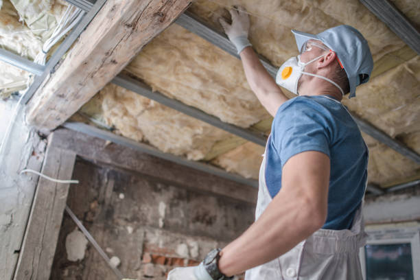 Best Blown-in Insulation in Ruidoso Downs, NM